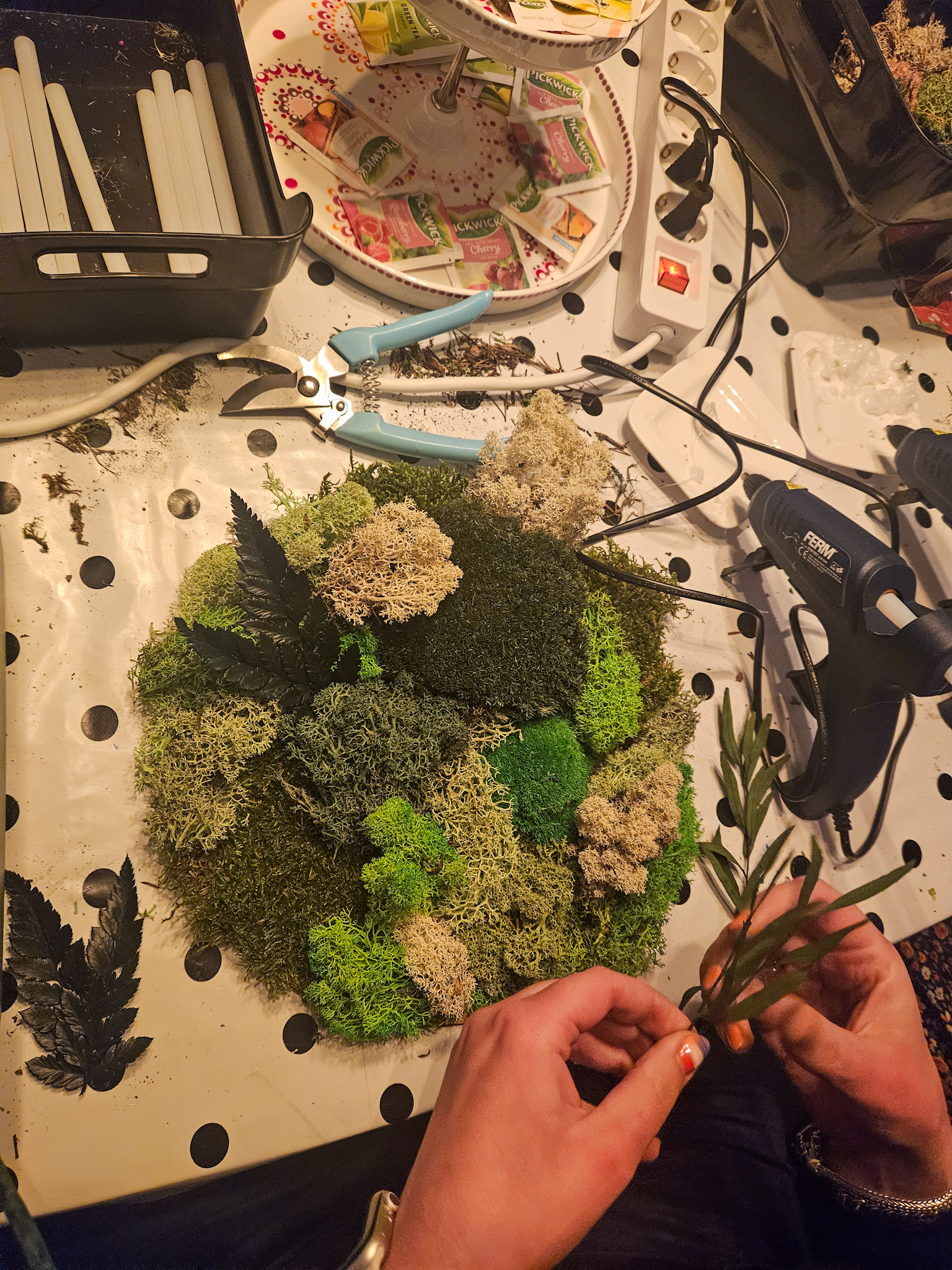 workshop, workshop moswandje, moswandje, rendierenmos, plaatmos, bolmos, Groningen, vriendinnenuitje, teamuitje, personeelsuitje, vrijgezellenuitje, babyshower, moeder en dochter